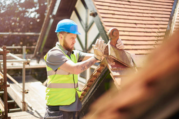 Roof Gutter Cleaning in Norwood, NJ